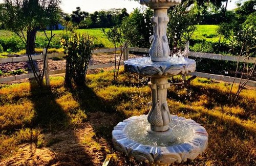 Bali House | Vriksh Jawai The farm stay