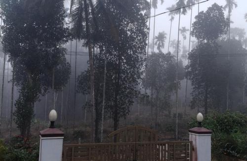 Koodothummal House | Vrindavanam Homestay Wayanad