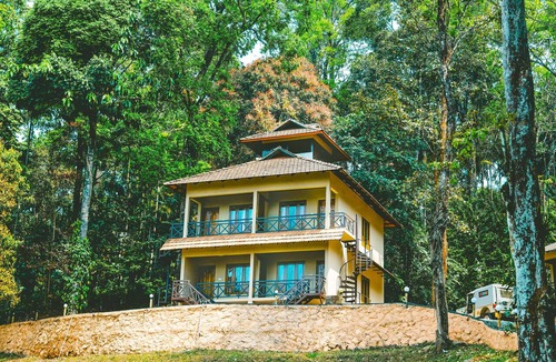 Kunnathidavaka Hotel | Vythiri Wild Forest Resort