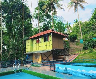 Vayittiri Resort | Wayanad Coffee Vintage