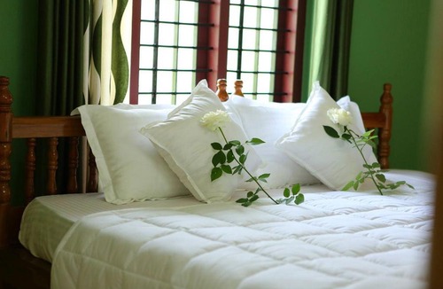 Kolagappara Bed & Breakfast | Wayanad Stay- The Coffee-suite