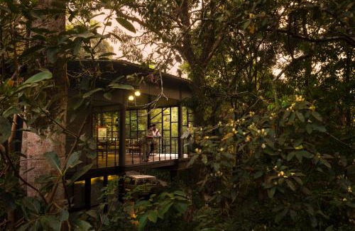 Kunnathidavaka Resort | Wayanad Wild - A CGH Earth Experience