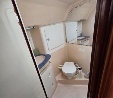 Old Town Boat Rental | WhiteRabbit