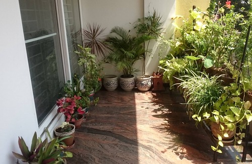 Indiranagar Apartment | "WILD JASMINE" Super Luxury Single Room in Indiranagar