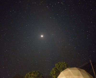 Athirapally Other | Wildglamps Athirappilly