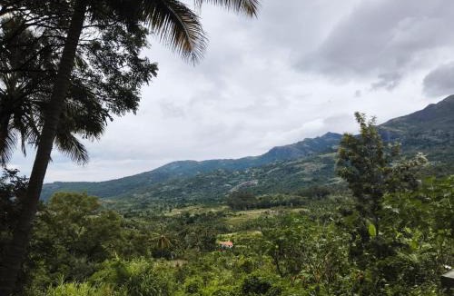 Kanthalloor House | Wildlife Homestay