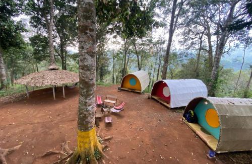 Vayittiri Other | Wildvibes India