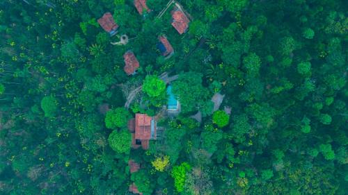 Sulthan Bathery Resort | Willow Resorts Wayanad