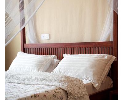 Mikumi National Park Apartment | Winnie's Home