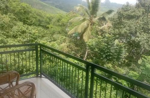 Chithirapuram Resort | Winter Green Resorts, Munnar