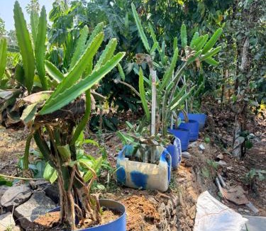 Kothamangalam House | Winter Heaven