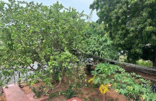 Bommayapalayam Villa | Woodside Haven Luxury GF