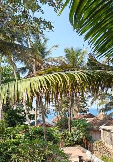 Varkala Hotel | Yog Inn