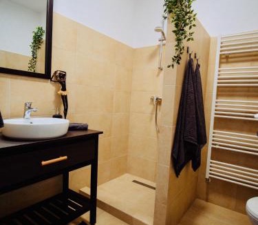 Miercurea-Ciuc Apartment | Zakarias Apartments