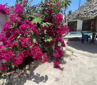 Bwejuu Beach House | Zanzibar Dream Villa & Guest Rooms