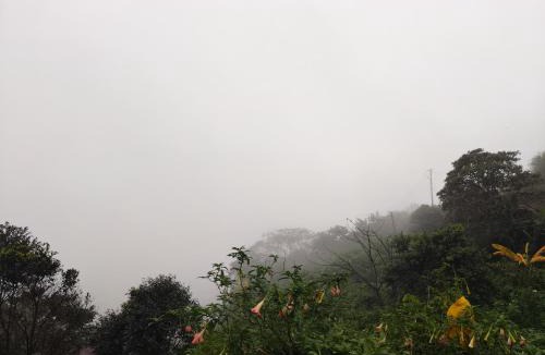 Madikeri House | Zawa Home stay,coorg