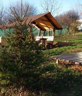 Oradea Other | Zen Garden