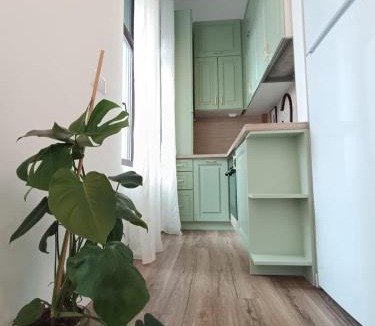 Satu Mare Apartment | Zion Central Apartment