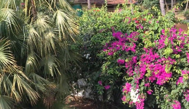 1 BHK Luxury Beachside Homestay in South Goa