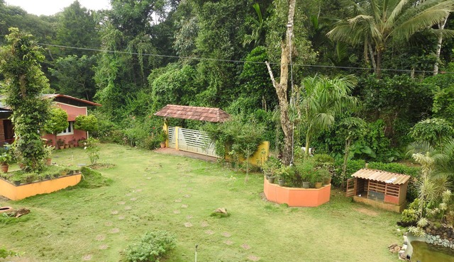 1 Duplex Tree House, 1 Tree House, 2 Cottages and 1 Family villa
