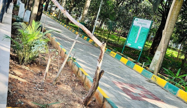 2 BHK Next to the Beautiful Park - 201