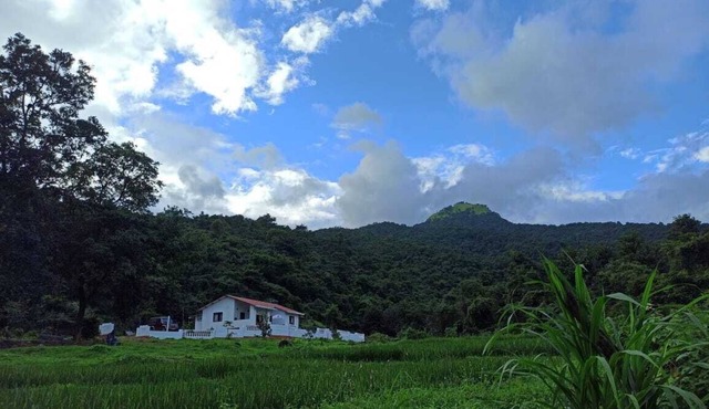 3bhk Farm home stay surrounded by pristine nature in The majestic Western Ghats