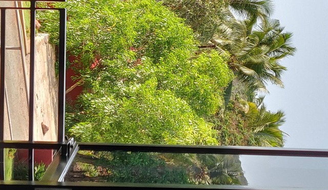 A brand new studio near Palolem Beach South Goa.