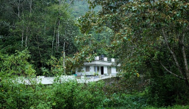 A calm and cosy three-bedroom house in the mountain valleys near Munnar.