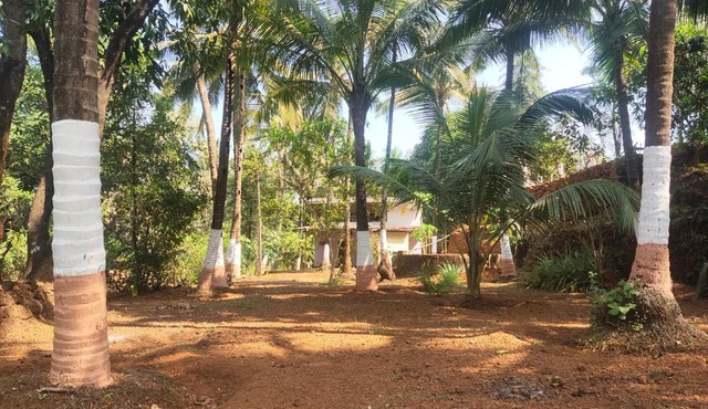 A Latent Farm stay
