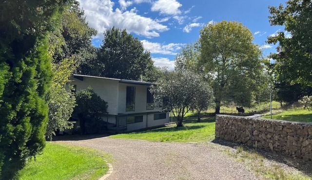 A special place for families & travellers on the river bank in Jamieson town. in Jamieson