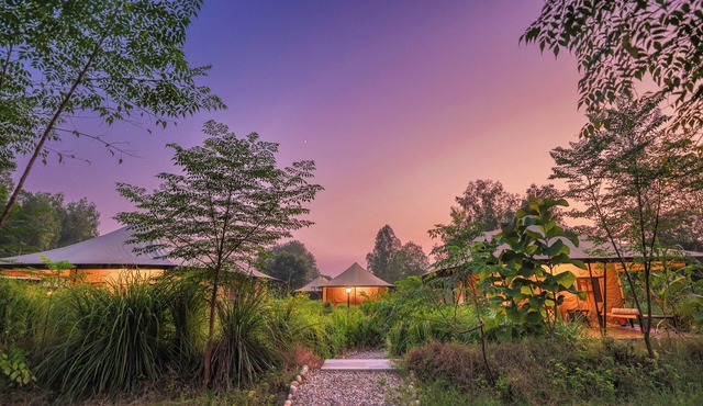 Aalia Jungle Retreat and Spa, Bandarjudh, Haridwar - Araiya Anthology