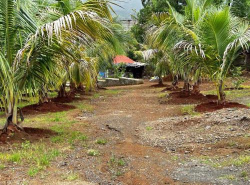 Aanandee Villa