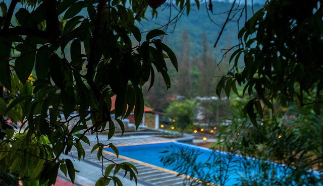 Aara Jungle Resort