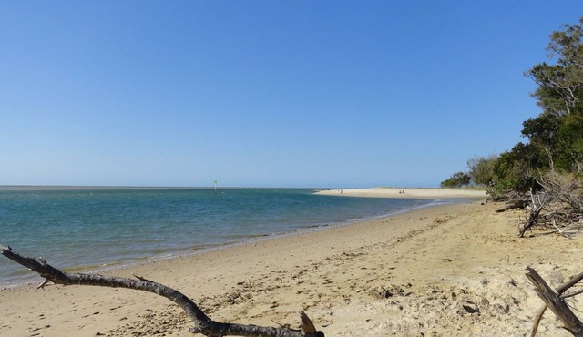Absolute Beachfront in Toogoom