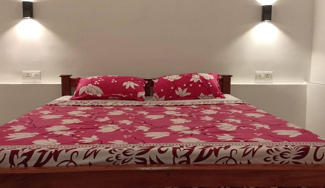 Adam's Holiday home is 3 BH apartment type with two ac & one non ac rooms.