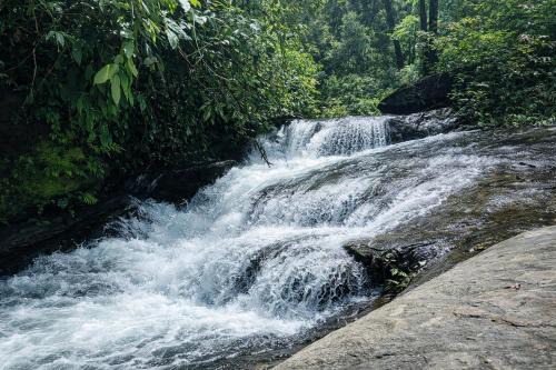 Adis Home - Private Villa With Private Stream in Kalasa