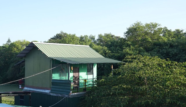 Affordable Family homestay ,Bachelor homestay with Jungle safari In Masinagudi
