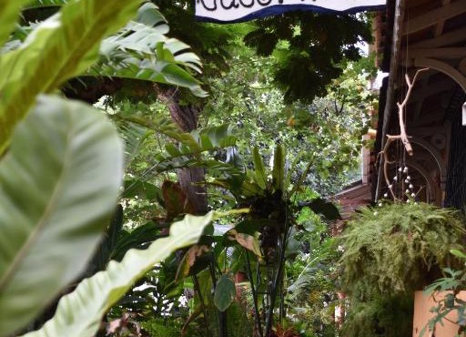 Afonso Guest House - Fontainhas