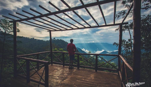 After the Rains - Rainforest Lodge, Wayanad