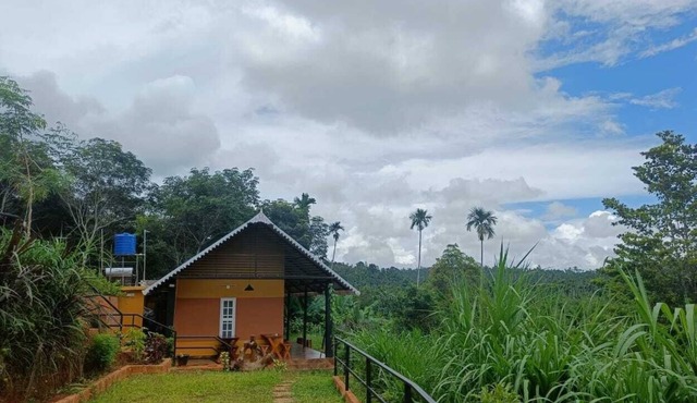 Agronest Farm Wayanad