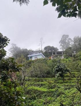 Alpine Fruits Dale Kanthalloor