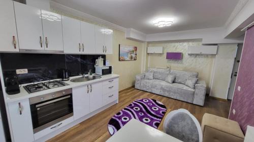 Aly Apartaments Suceava 2