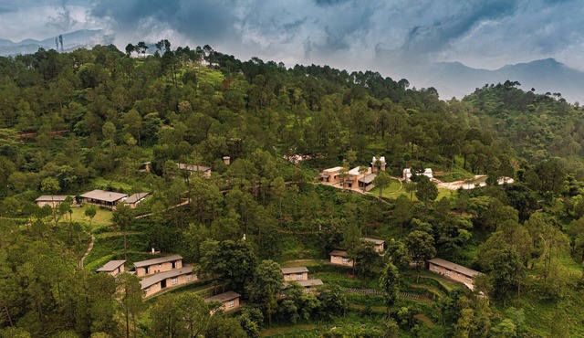 Amaya Kasauli