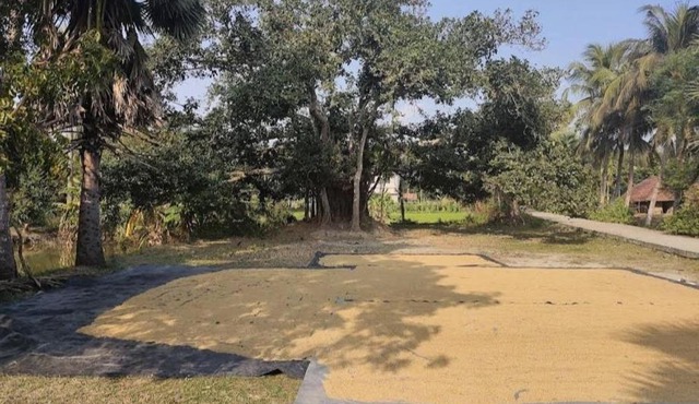 Amullya Kanan Villa, Sundarban