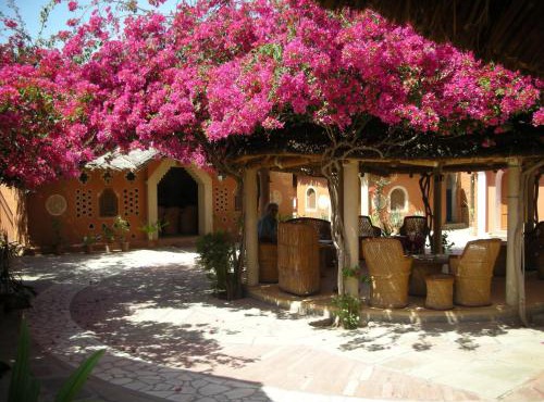 Apani Dhani Eco-Lodge