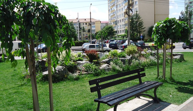 Apartament în regim hotelier