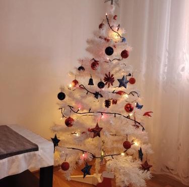 Apartament Central