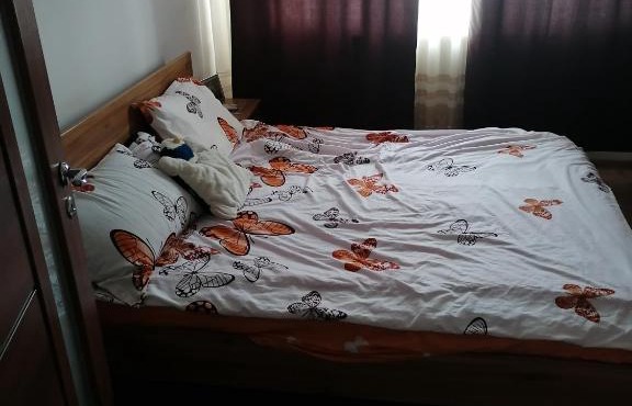 Apartament Hațeg