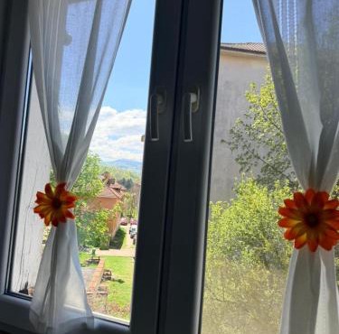 Apartament Iasmina 2