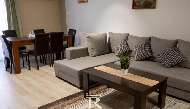Apartament Modern Rivulus 28